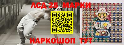 шишки Тара