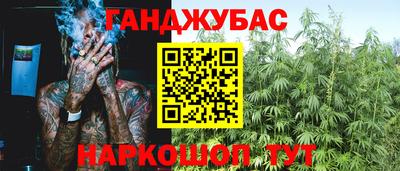шишки Тара
