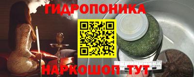 шишки Тверь