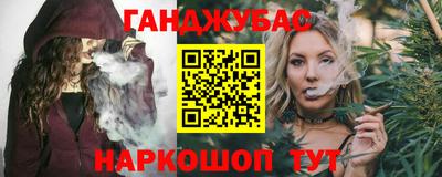 шишки Тверь