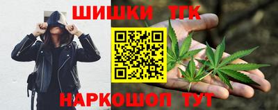 шишки Тара