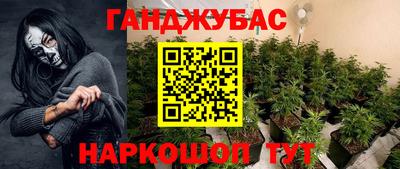 шишки Тара