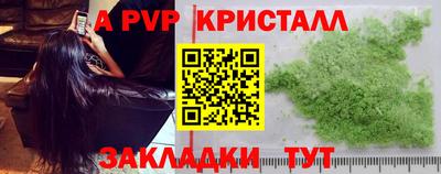 шишки Тара