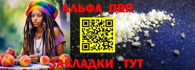 шишки Тара
