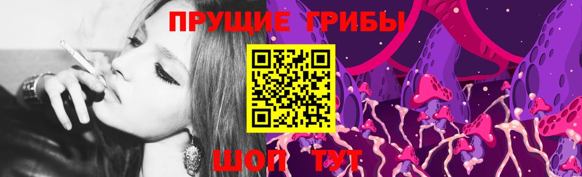 Псилоцибиновые грибы GOLDEN TEACHER  Вход с VPN  Благодарный 